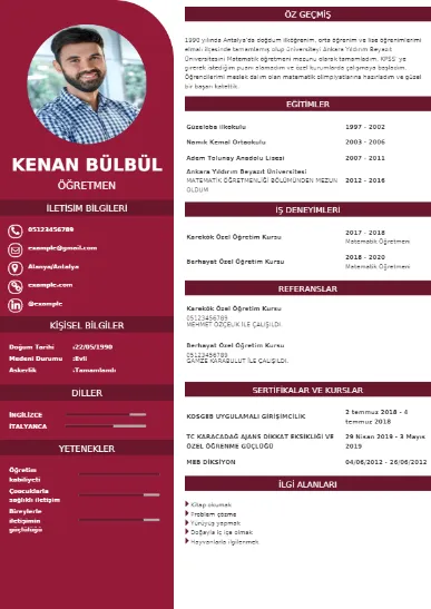 cv indir